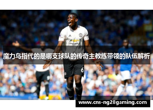 魔力鸟指代的是哪支球队的传奇主教练带领的队伍解析