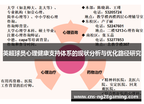 英超球员心理健康支持体系的现状分析与优化路径研究