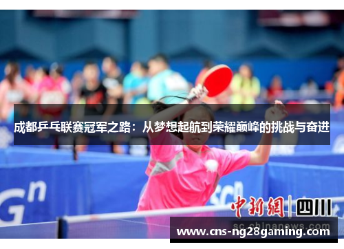 成都乒乓联赛冠军之路：从梦想起航到荣耀巅峰的挑战与奋进